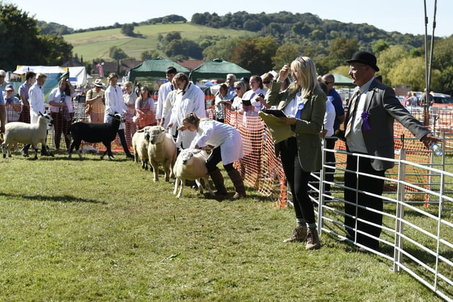 Findon Sheep Fair and Village Festival is due to take place on Saturday, September 10. There are craft stalls, sheep displays, sheep judging, a funfair, food stalls, live displays, a beer tent and many other displays and attractions on Nepcote Green. Admission is free. Visit findonsheepfair.co.uk for more information.