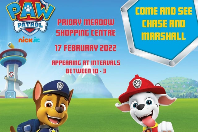 The popular pups will be at Priory Meadow Shopping Centre on Thursday 17th February, appearing at intervals in the main mall between 10am and 3pm. Chase will be appearing at 10am. 11am. 12noon. 1pm and 2pm
Marshall will be appearing at 10:30am. 11.30am. 12.30pm. 1.30pm and 2.30pm. The event is free no booking required, SUS-221002-112748001
