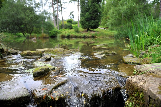 Leonardslee Lakes and Gardens, Lower Beeding.

19 – 27 February 2022

There’s no better place to be over February half-term than at Leonardslee. From exploring the woodlands or taking part in the Kids Comedy Club, there’s plenty to keep everyone entertained.