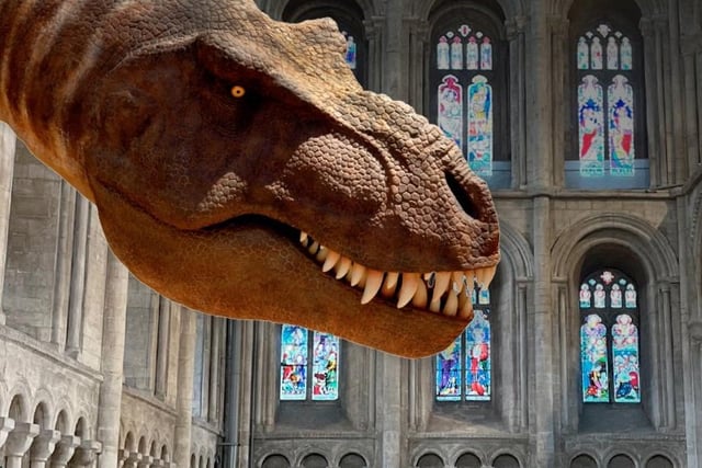T.rex The Killer Question at Peterborough Cathedral, 18 July-3 Sept 2022