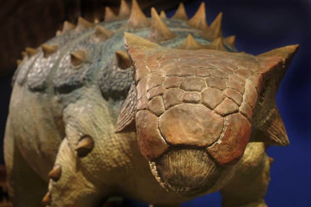 Ankylosaurus © The Natural History Museum London