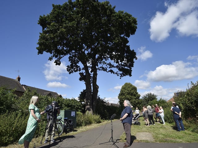 Protest to stop of the felling of an old oak tree at Ringwood, Bretton pictured in July last year as residents launched a petition.