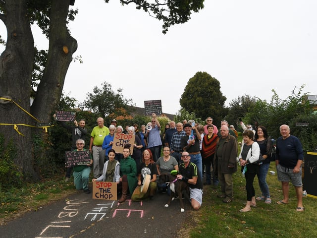 Oak tree protesters at Ringwood next to the tree in September last year.