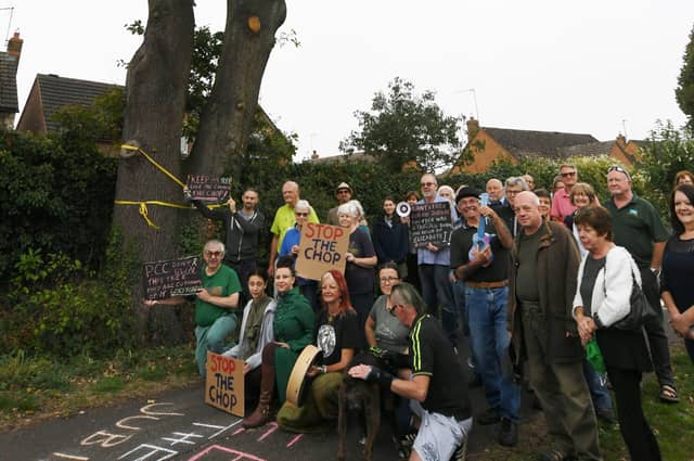 Oak tree protesters at Ringwood next to the tree in September last year.