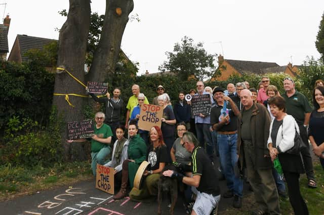 Oak tree protesters at Ringwood  next to the tree in September last year.