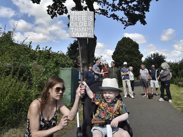 Protest to stop of the felling of an old oak tree at Ringwood, Bretton pictured in July last year as residents launched a petition.  Beau (2) and Miriam Whittam with their poster.
