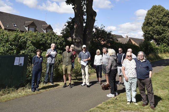 Protest to stop of the felling of an old oak tree at Ringwood, Bretton pictured in July last year as residents launched a petition.