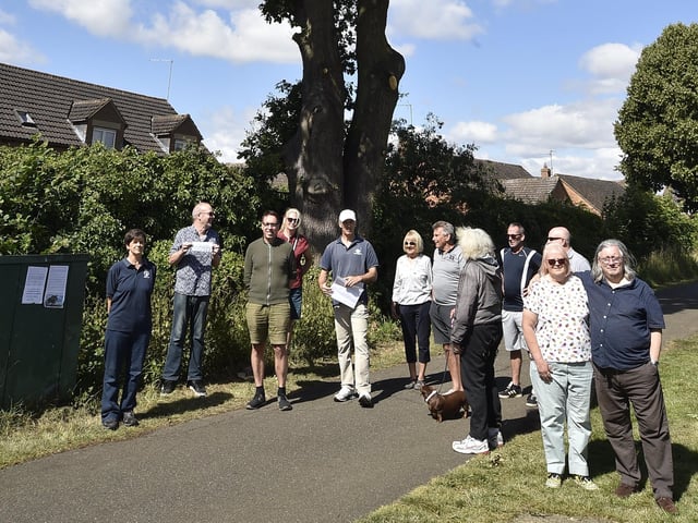 Protest to stop of the felling of an old oak tree at Ringwood, Bretton pictured in July last year as residents launched a petition.