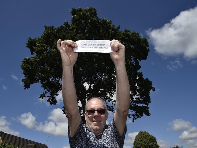 Oak tree campaigner Richard Elmer with his petition link to save the tree pictured in July last year.