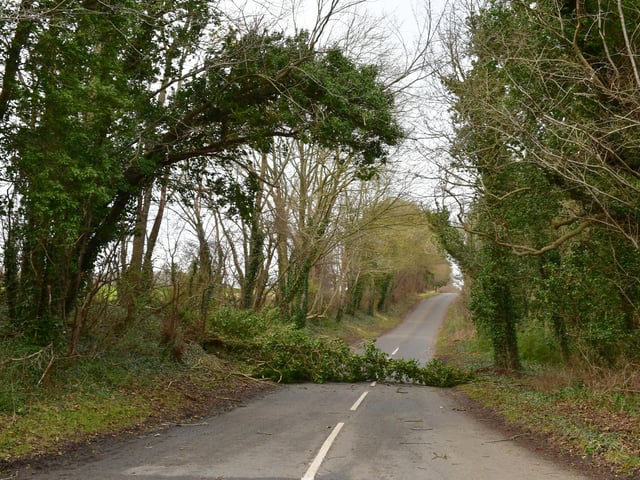 Fallen tree on Thorpe Drove, South Rauceby. EMN-220218-181950001