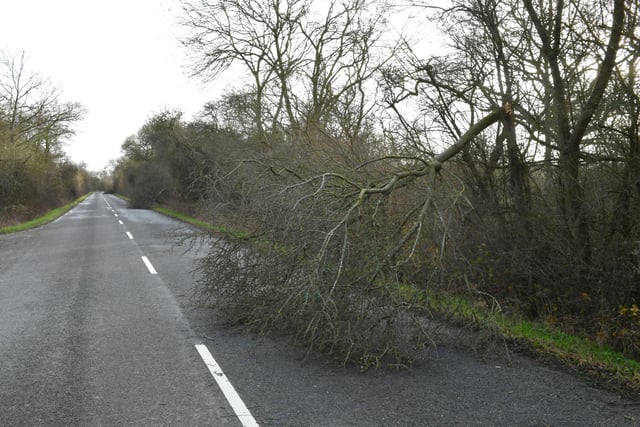 Fallen trees on Mareham Lane, Sleaford. EMN-220218-181851001