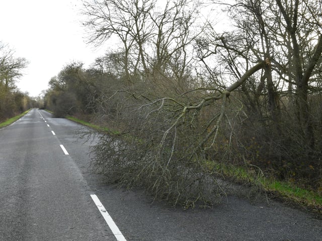 Fallen trees on Mareham Lane, Sleaford. EMN-220218-181851001