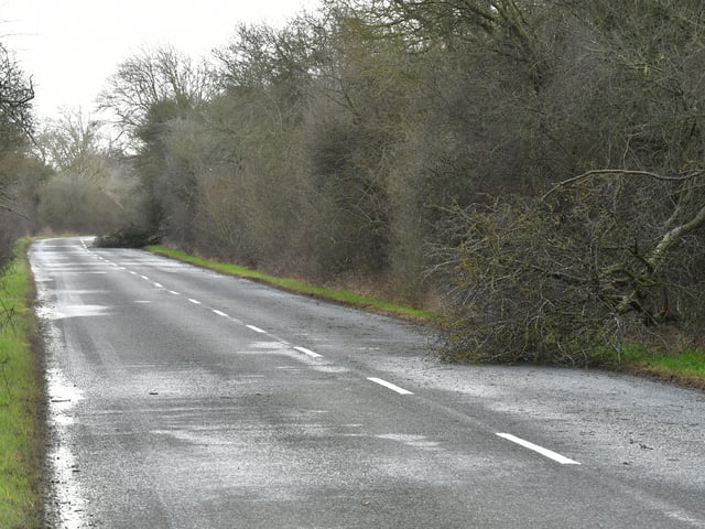 Fallen trees on Mareham Lane, Sleaford. EMN-220218-181833001