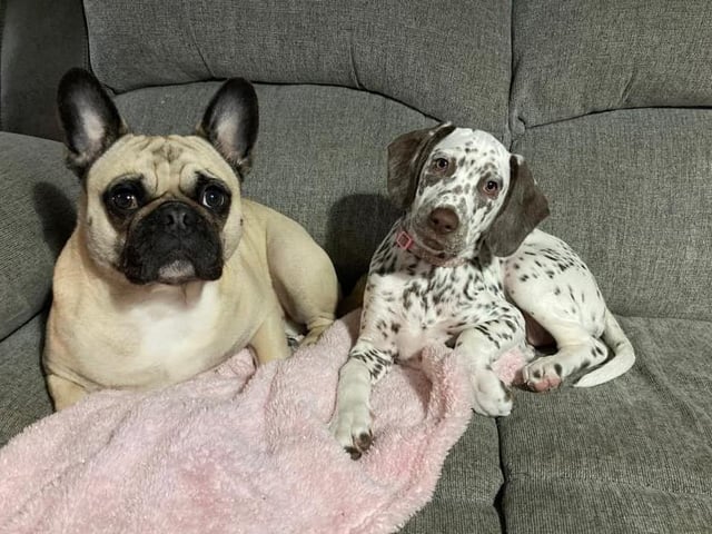 Arnie and Willow, from Chloe Ansell SUS-220221-123224001