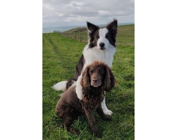 Nelson and Millie, from Alex Heal SUS-220221-123435001