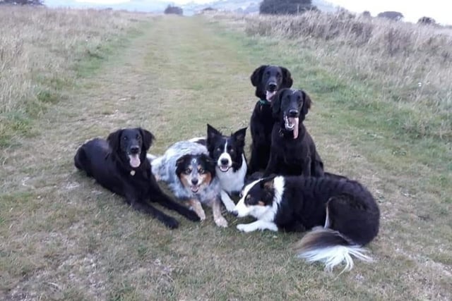Jodie, Tamsin, Kyan, Raven, Luna and Acer, from Tanya Beard SUS-220221-123334001