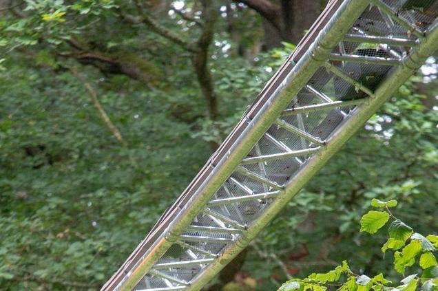Network Rail said it is looking to install a dormhouse bridge at Balcombe to help wildlife access habitats more easily. Picture: Network Rail Kent & Sussex.