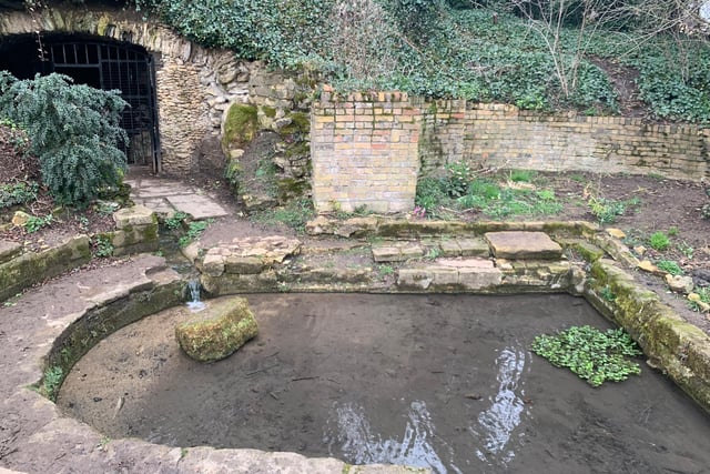 The Friends of Holywell have cleared the grotto of litter, cut back overgrown areas surrounding the ponds, and Samia even used a homemade harpoon made out of a rake to remove algae from the ponds on her kayak.