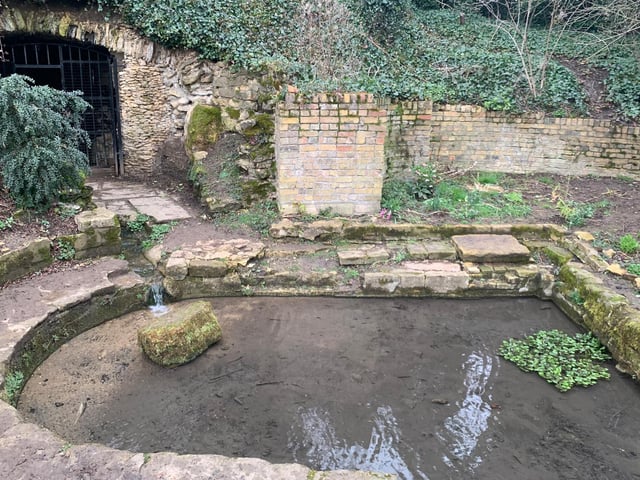 The Friends of Holywell have cleared the grotto of litter, cut back overgrown areas surrounding the ponds, and Samia even used a homemade harpoon made out of a rake to remove algae from the ponds on her kayak.