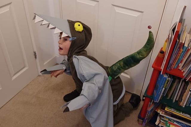 Elliot was a pterodactyl from his dinosaur encyclopedia. Photo by Sophie Turner in Horsham.