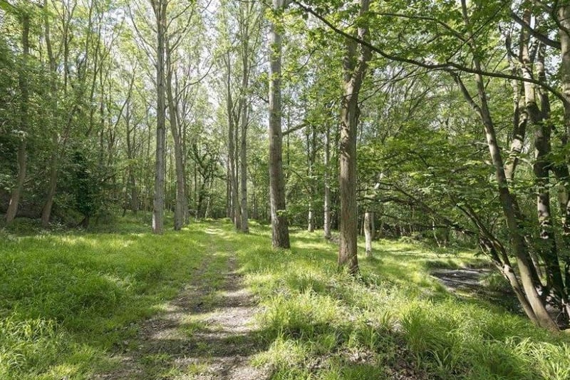 The woodland with Durham House, which is located in the village of Moreton Paddox, near Moreton Morrell. Photo by Knight Frank