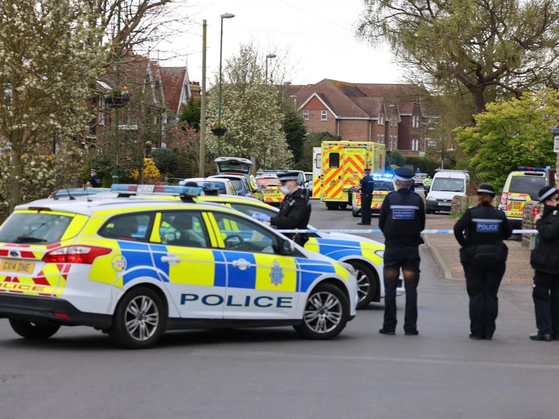 A large number of police officers have been pictured at the scene. Photo: Eddie Mitchell