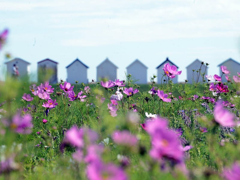 £295,000 (pictured, Goring seafront)