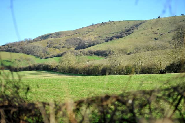 The South Downs. Pic Steve Robards