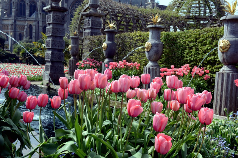 £422,500  (pictured, tulips at Arundel Castle)
