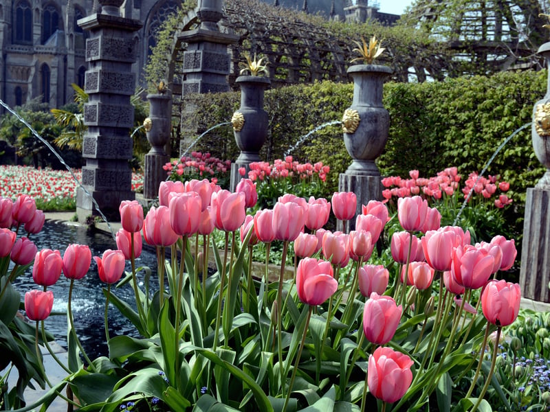£422,500 (pictured, tulips at Arundel Castle)