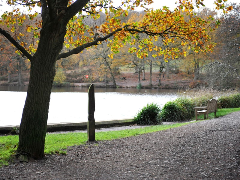 £295,000 (pictured, Buchan Park)