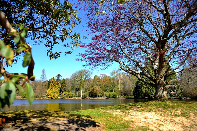 Spring time views at Sheffield Park and Garden near Haywards Heath. Pic S Robards SR2104241 SUS-210424-132210001