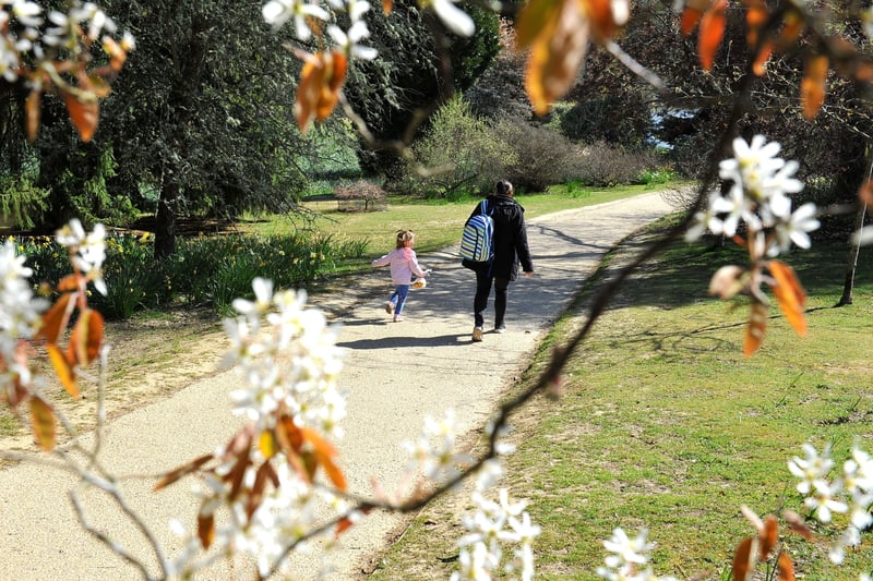 Spring time views at Sheffield Park and Garden near Haywards Heath. Pic S Robards SR2104241 SUS-210424-132328001