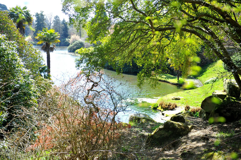 Spring time views at Sheffield Park and Garden near Haywards Heath. Pic S Robards SR2104241 SUS-210424-132350001