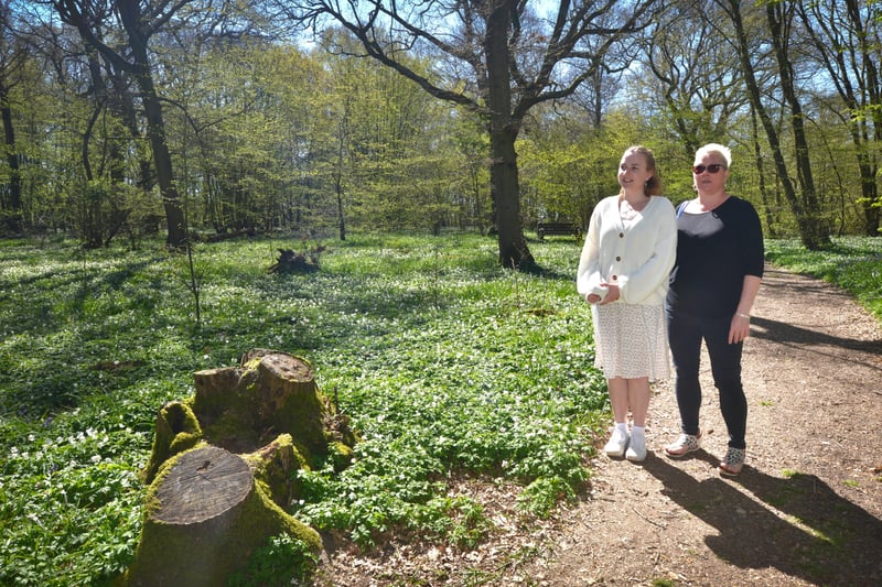 Arlington Bluebell Walk pictured on 23/4/21.
At the time of the visit, a beautiful white display of wood anemones covered the woodland floor. SUS-210423-135140001