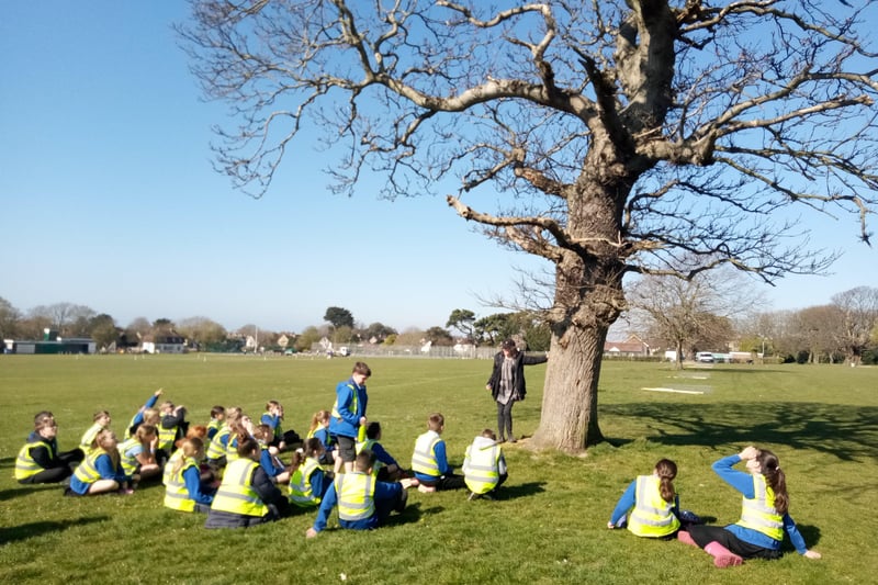 Buckingham Park Primary School pupils learning about trees and planting saplings