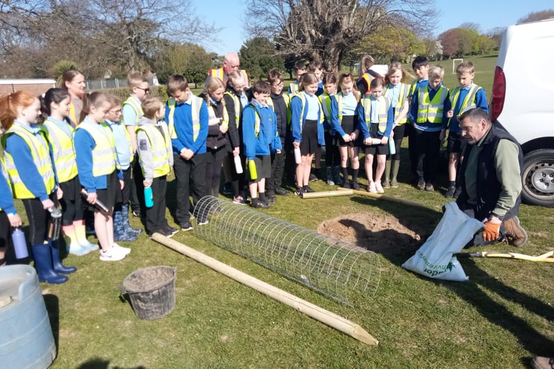 Buckingham Park Primary School pupils learning about trees and planting saplings