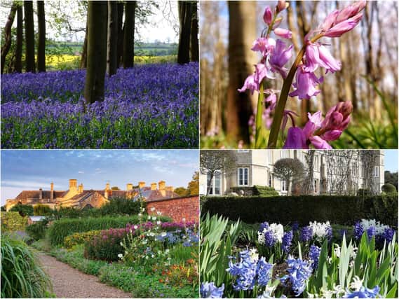 There are many beautiful gardens to explore in Northamptonshire