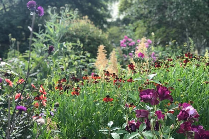 The Old Rectory Gardens in Sudborough will be reopening on Wednesday May 5! Take a gentle stroll in their stunning private gardens and maybe pop by their gift shop and check out their products provided by local artisans. They will be open every Wednesday and Saturday and their pop-up restaurant, The Garden Menu, will be making a return in July.