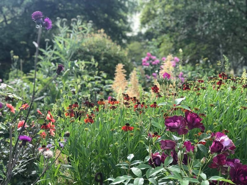 The Old Rectory Gardens in Sudborough will be reopening on Wednesday May 5! Take a gentle stroll in their stunning private gardens and maybe pop by their gift shop and check out their products provided by local artisans. They will be open every Wednesday and Saturday and their pop-up restaurant, The Garden Menu, will be making a return in July.