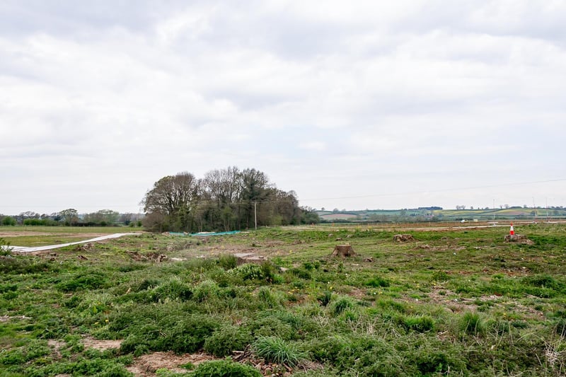 How the countryside near Leamington looks in April 2021, where trees once stood.