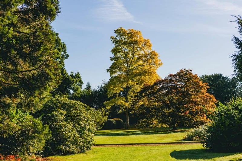 Join the Head Gardener on a guided tree trail in The Swiss Garden on May 12. As you walk you will hear interesting facts and information on the many historical and magnificent trees of all shapes and sizes within the garden.