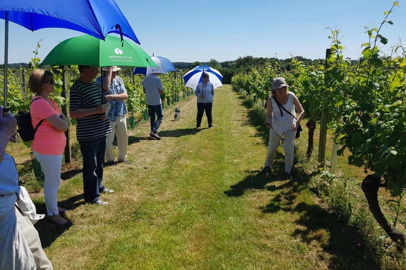 The vineyard is bursting into life at this time of year, and you can discover the secrets of its medieval history as well as hear about English Wine and how volunteers look after the vineyard. Tours take place on May 29 - and finish with a wine tasting.