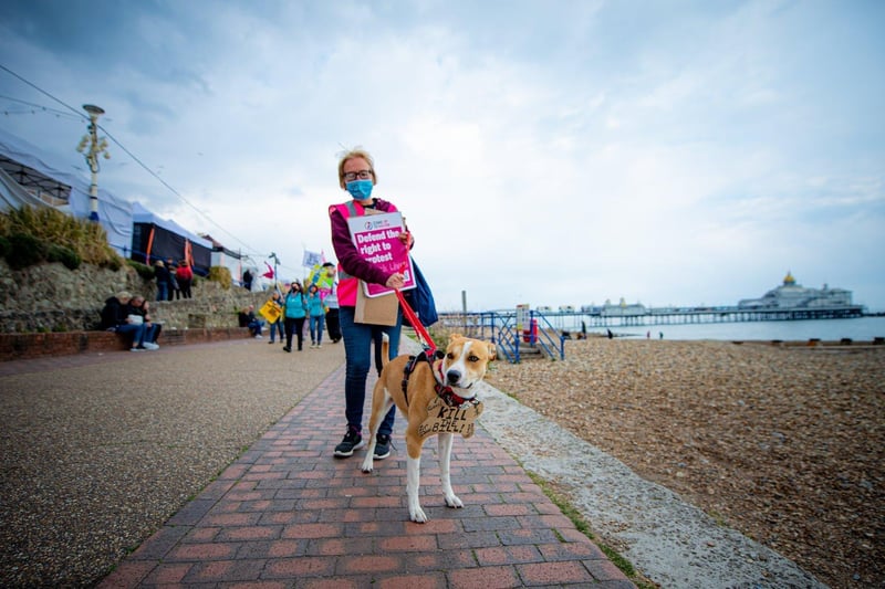 A protester with her dog on Eastbourne seafront spreads their concern about the Bill. SUS-210405-155628001