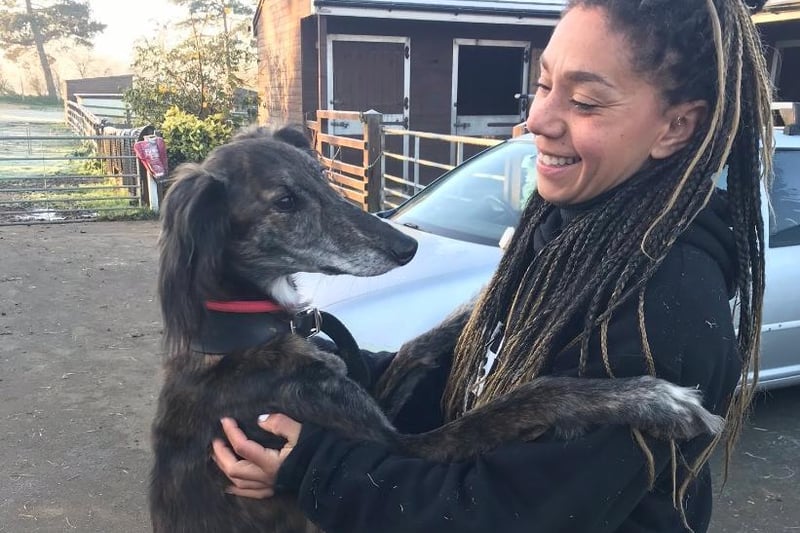 Pretty Paisley can be quite shy but loves a cuddle with her favourite humans, not so much a fan of other animals. She requires a patient animal-free home that is committed to training.