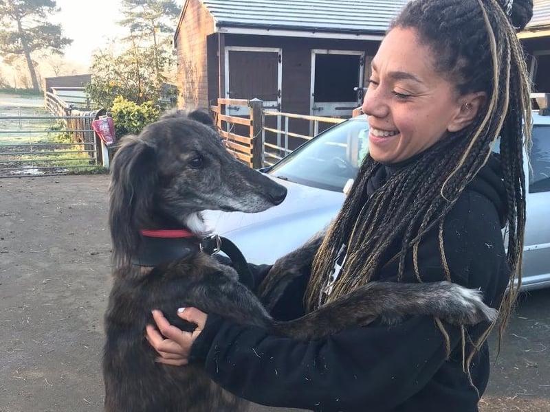 Pretty Paisley can be quite shy but loves a cuddle with her favourite humans, not so much a fan of other animals. She requires a patient animal-free home that is committed to training.