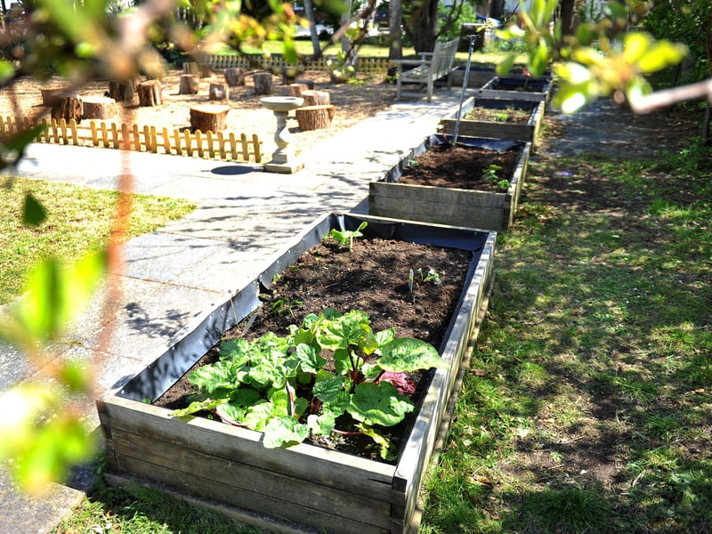 Green Day at West Park Primary School in Goring. Picture: Steve Robards SR2105072