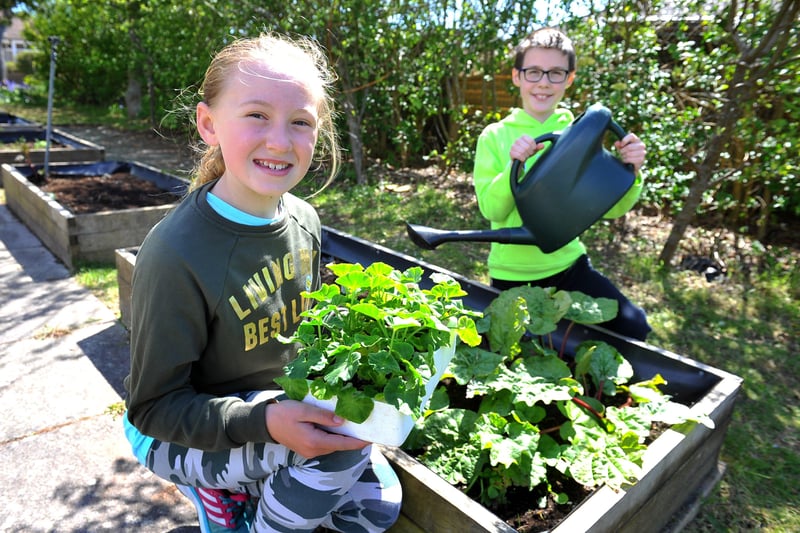 Green Day at West Park Primary School in Goring. Picture: Steve Robards SR2105072