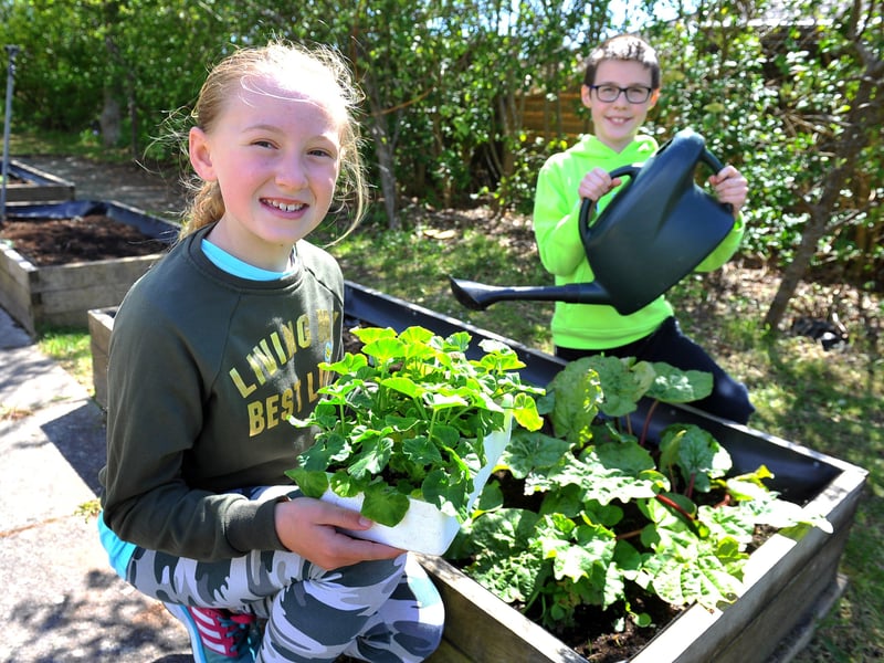 Green Day at West Park Primary School in Goring. Picture: Steve Robards SR2105072