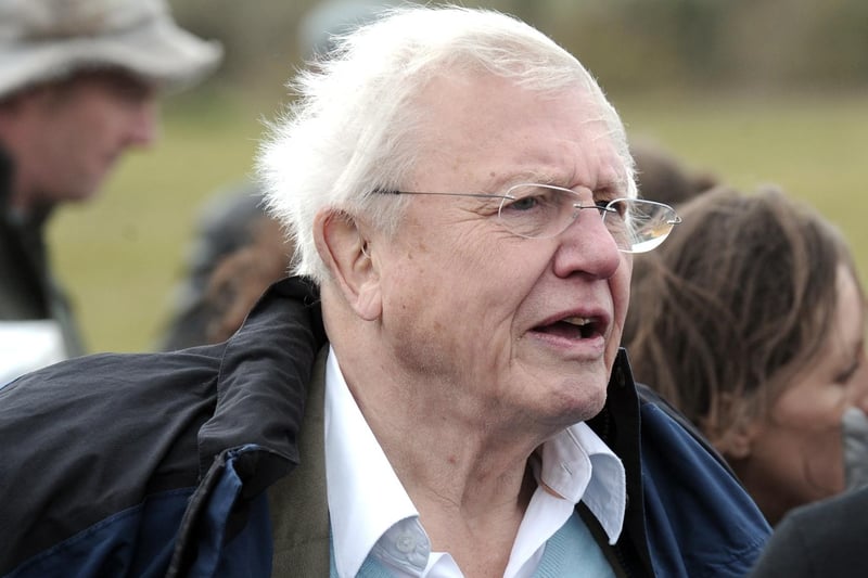 Jo Atkins said: “Standing in front of Sir David Attenborough in a queue at Heathrow. We’d got off the same flight from Australia. He was in First Class, I wasn’t.”